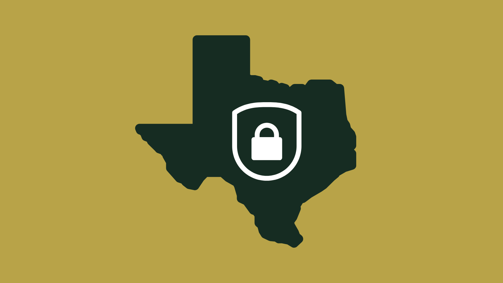 texas-data-privacy-act